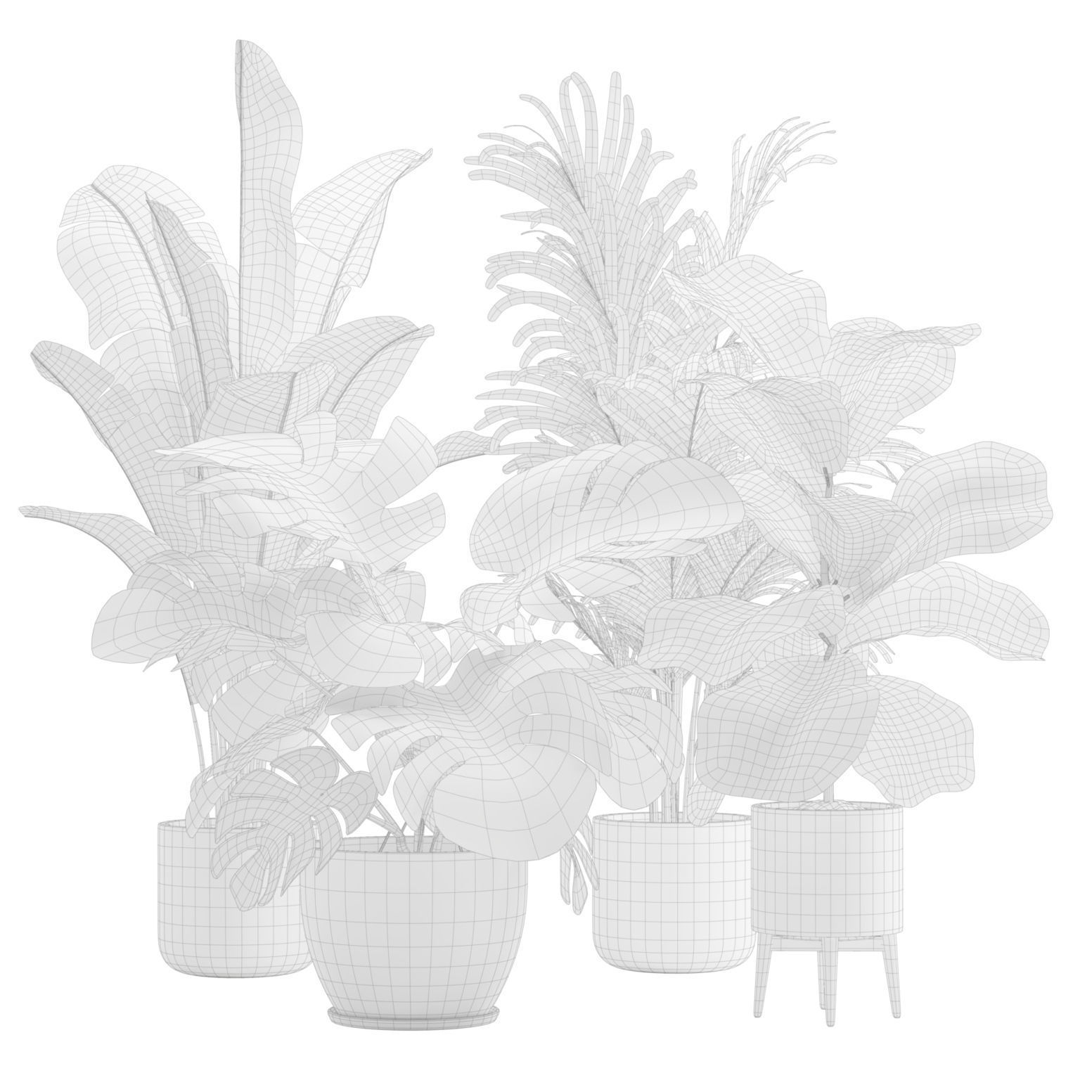 Indoor Plants Pack 17 3D model_2