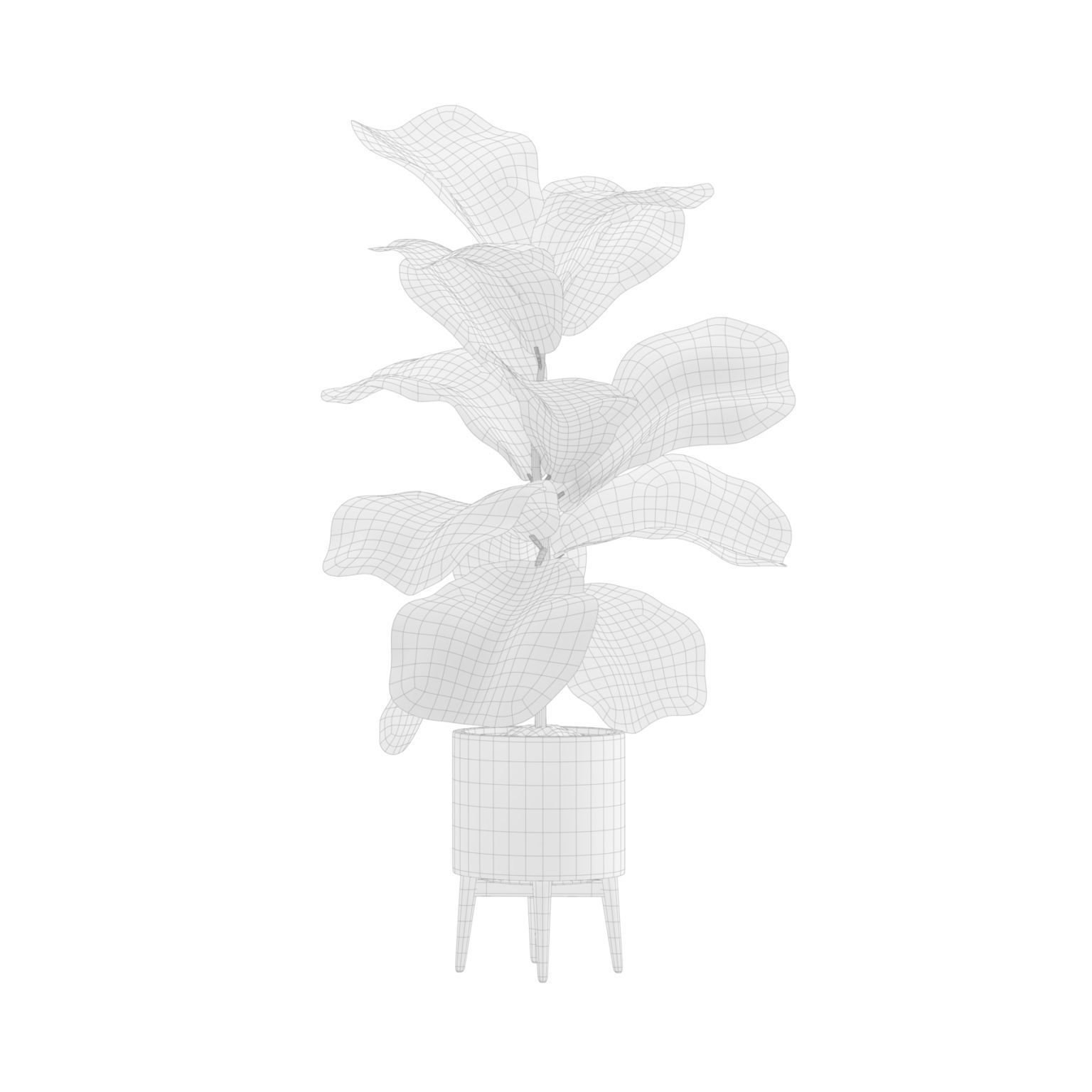 Indoor Plants Pack 17 3D model_6