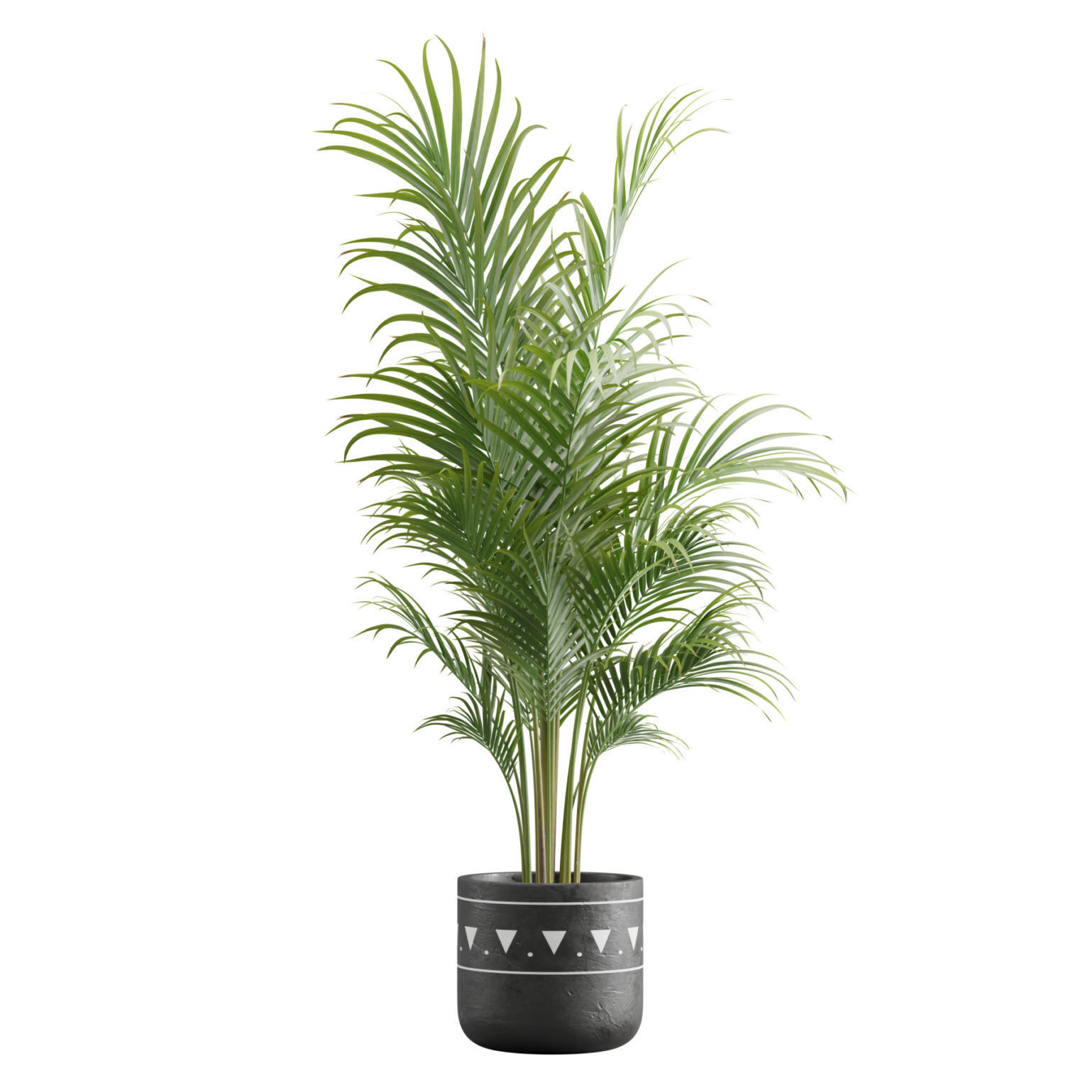 Indoor Plants Pack 17 3D model_3
