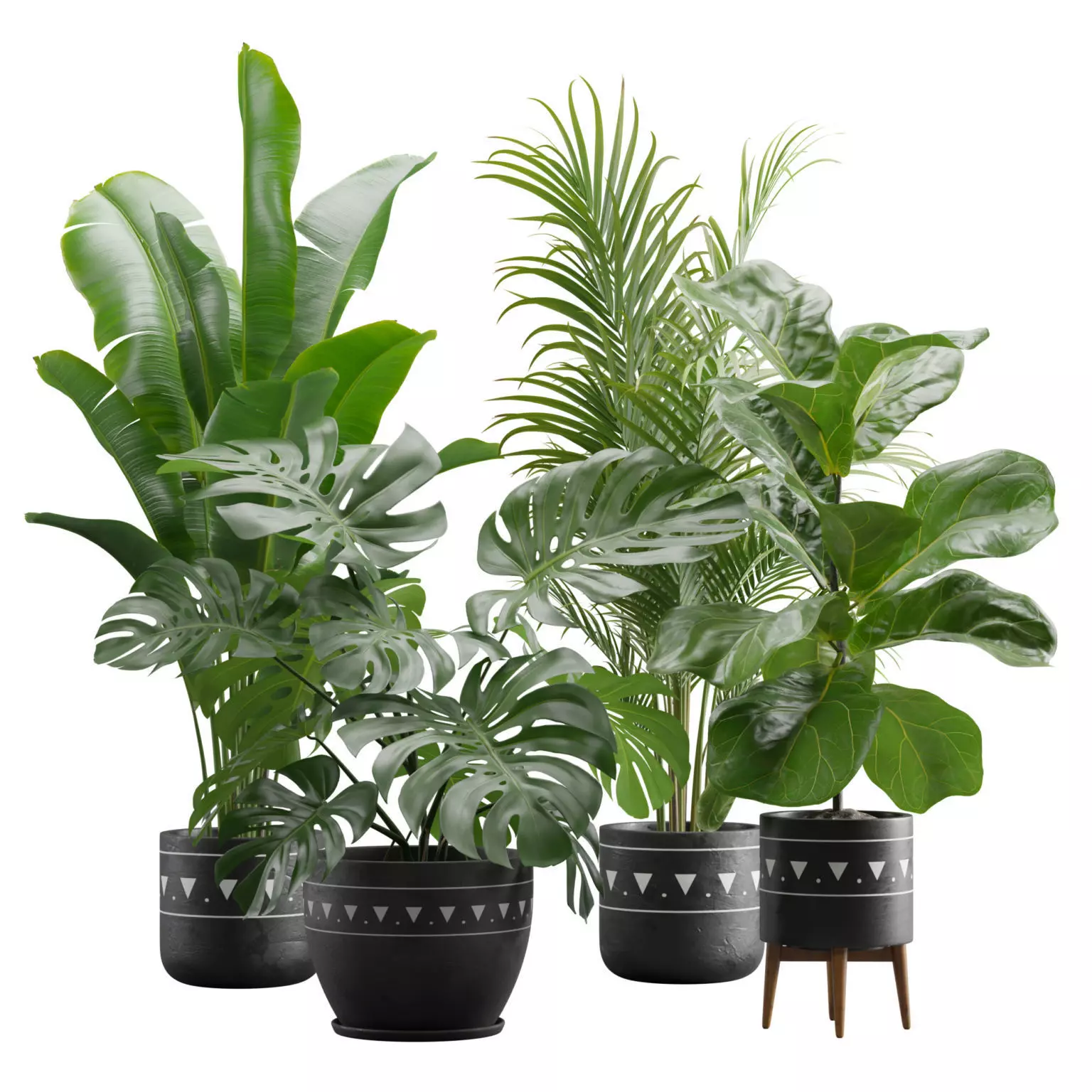 Indoor Plants Pack 17 3D model_0