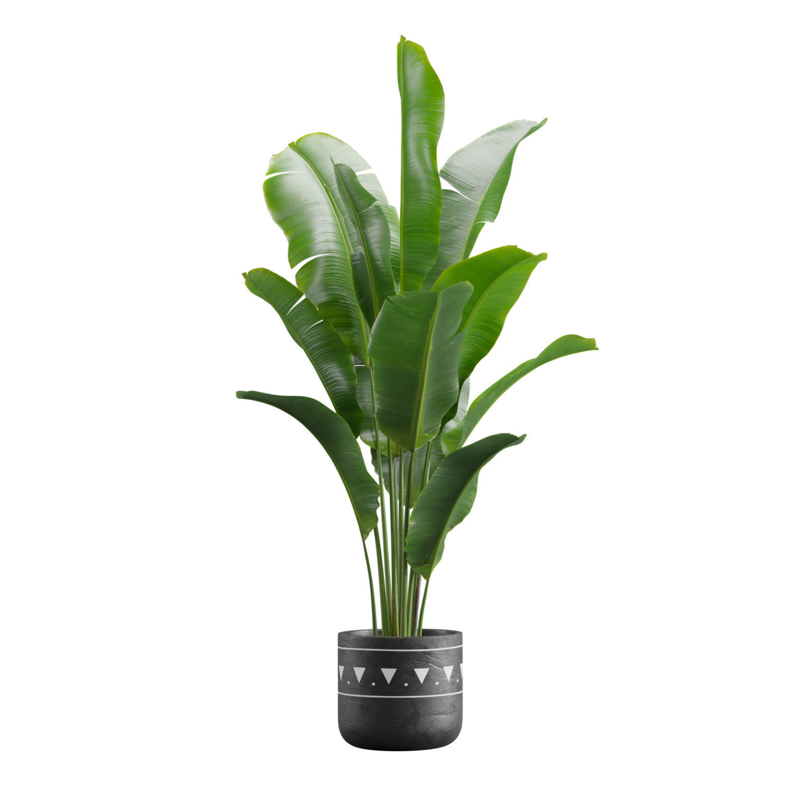 Indoor Plants Pack 17 3D model_9