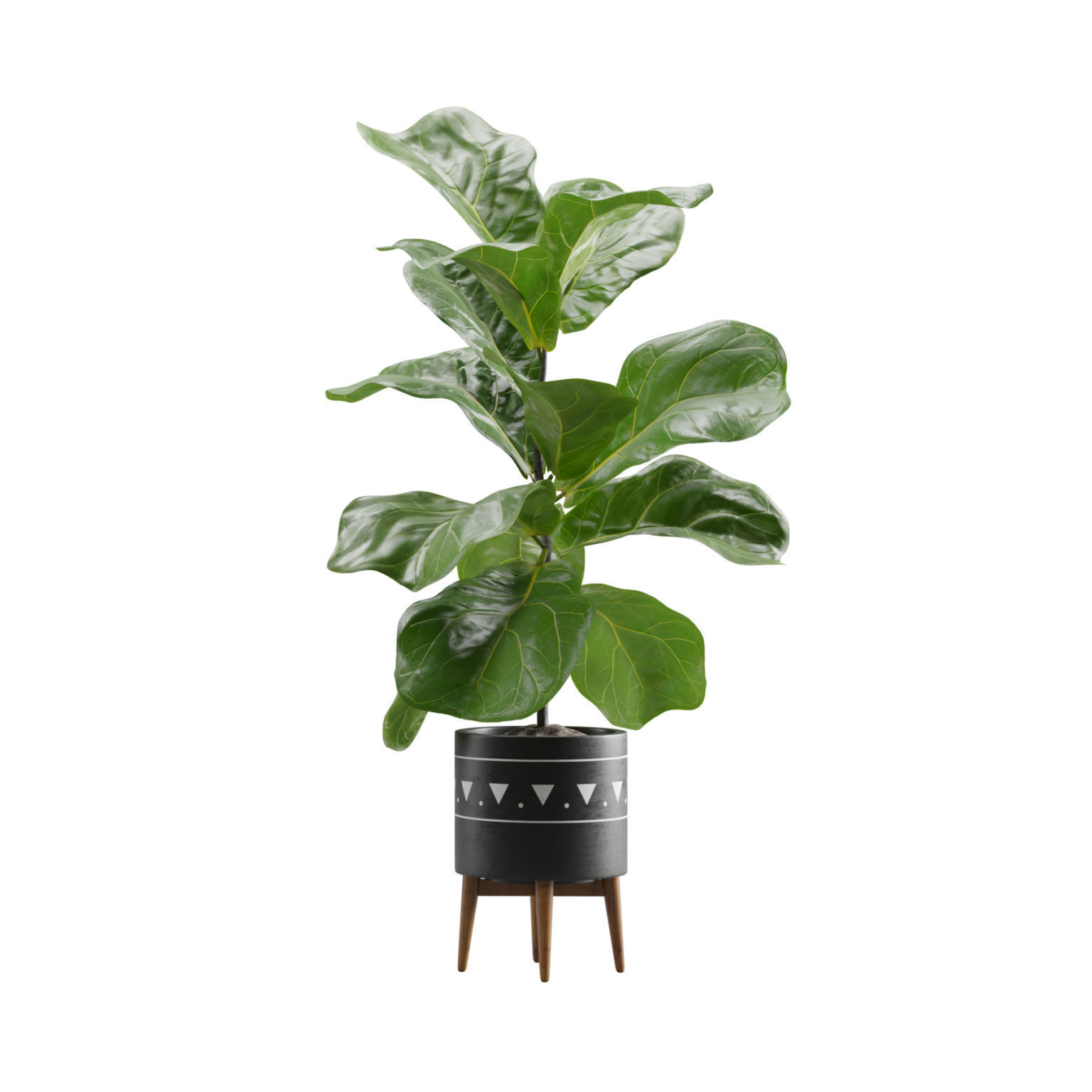 Indoor Plants Pack 17 3D model_5