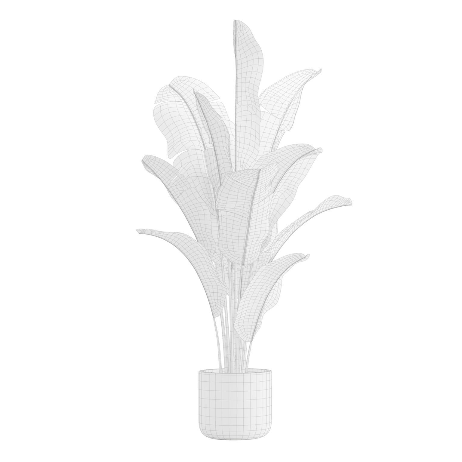 Indoor Plants Pack 17 3D model_10