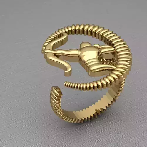 archer ring 3D print model