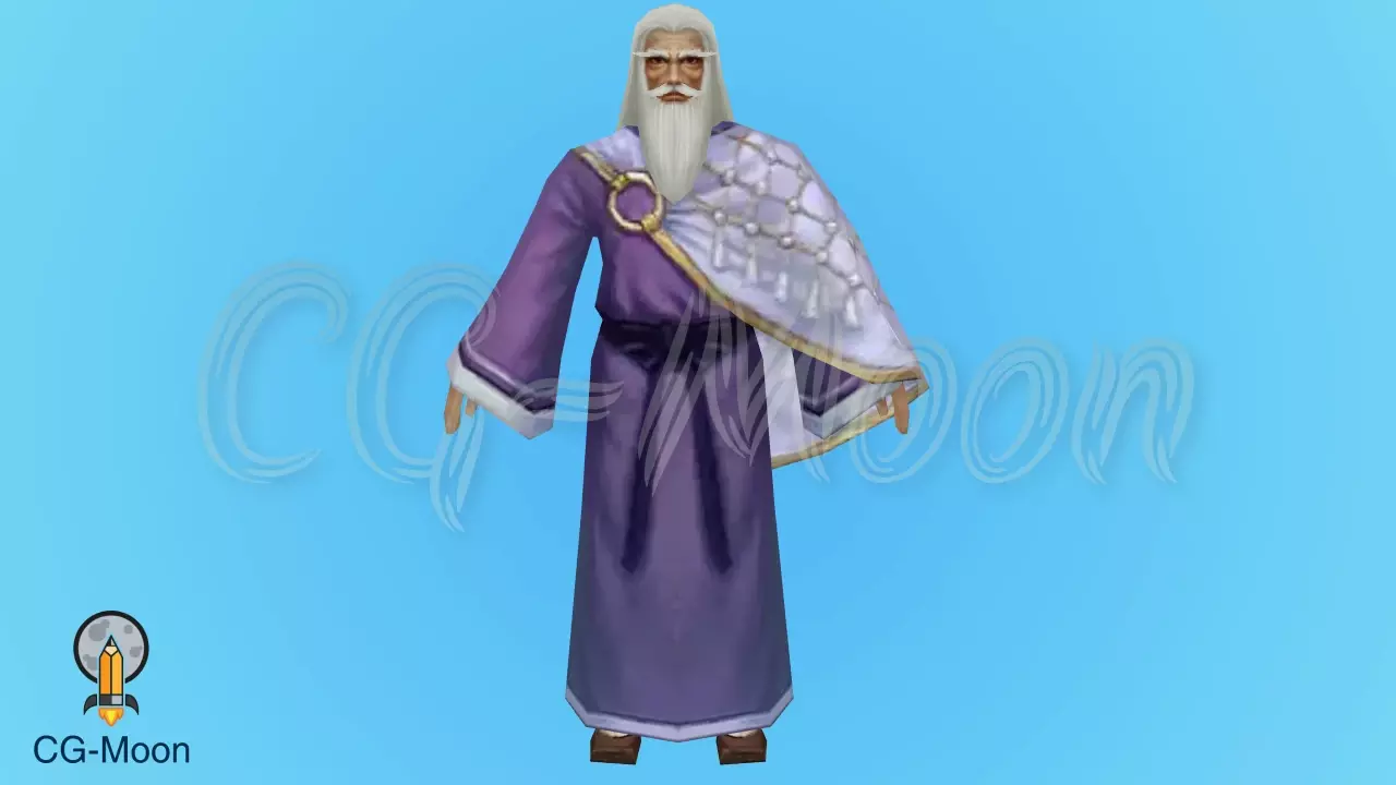 Wise Man Rigged Free low-poly 3D model
