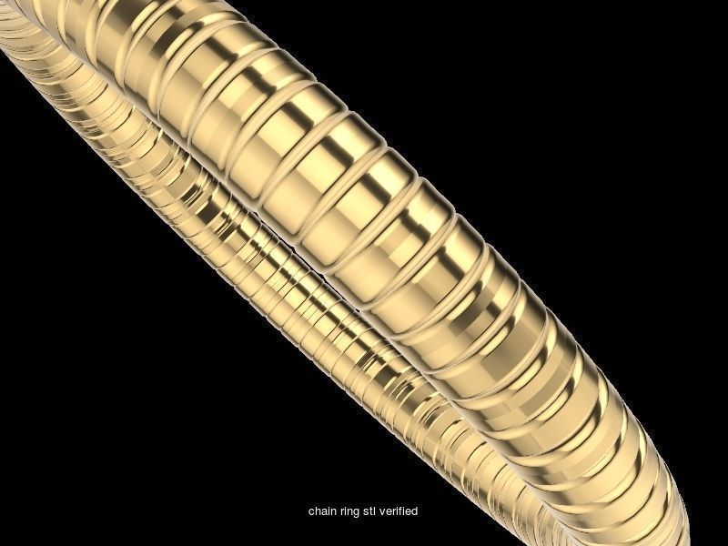 200 plus ring designs stl verified  3D Model Collection_193