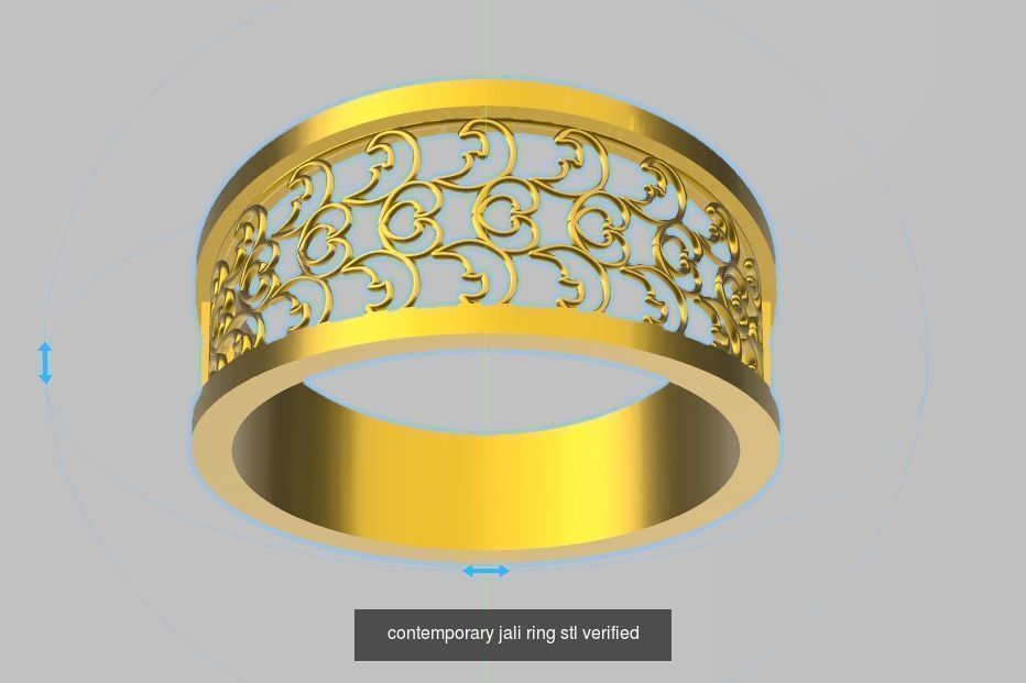 200 plus ring designs stl verified  3D Model Collection_173