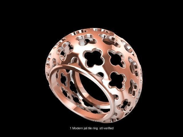 200 plus ring designs stl verified  3D Model Collection_232