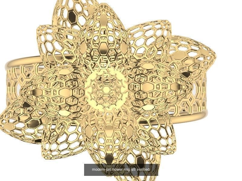 200 plus ring designs stl verified  3D Model Collection_161