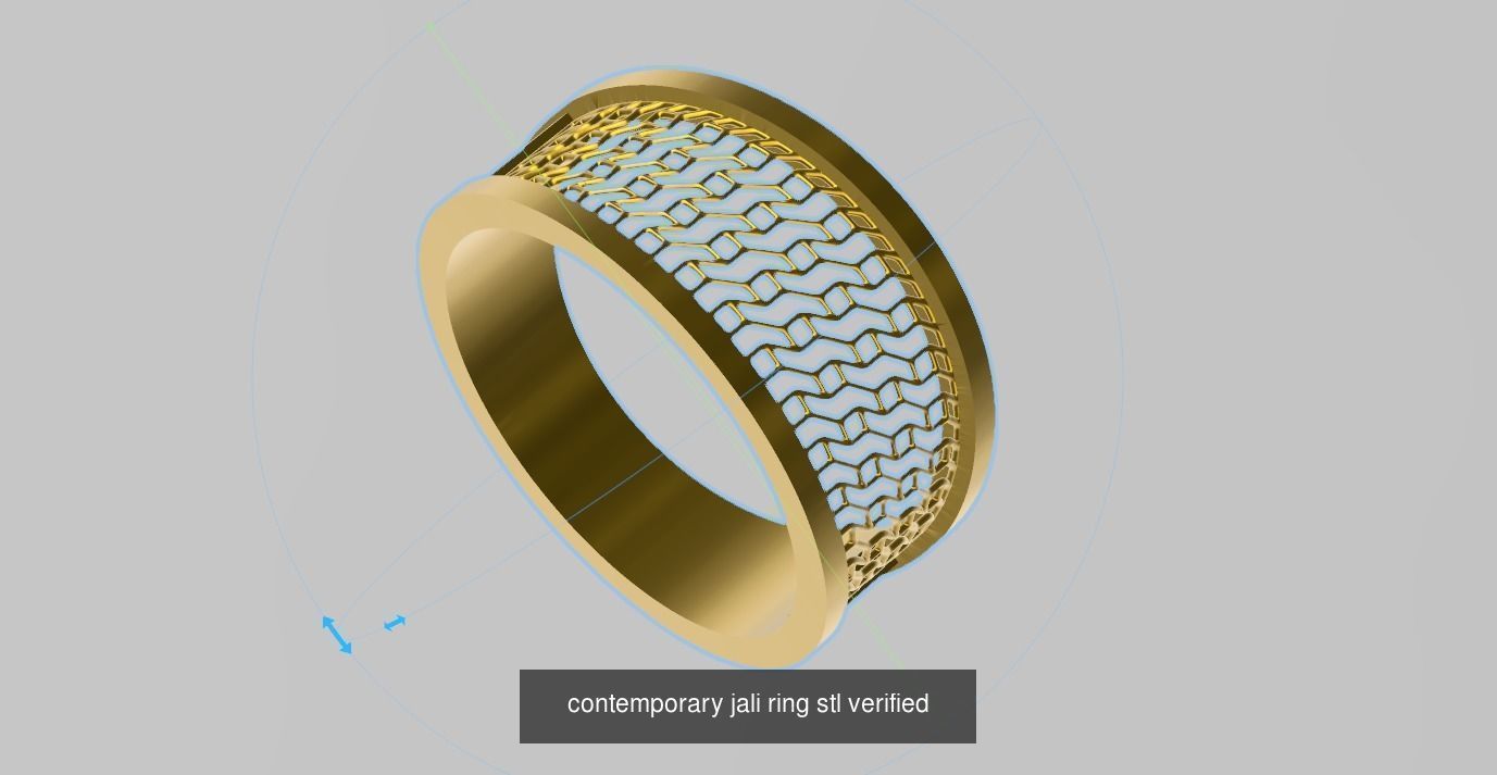 200 plus ring designs stl verified  3D Model Collection_171