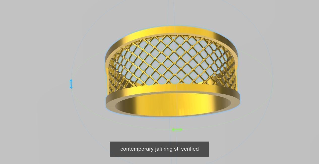 200 plus ring designs stl verified  3D Model Collection_181