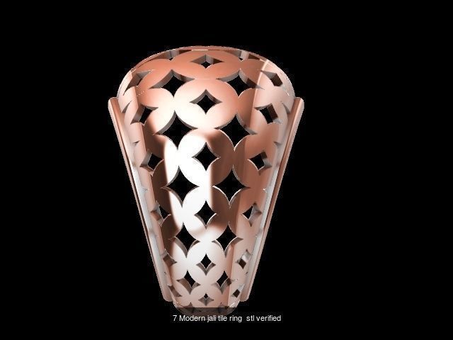 200 plus ring designs stl verified  3D Model Collection_226