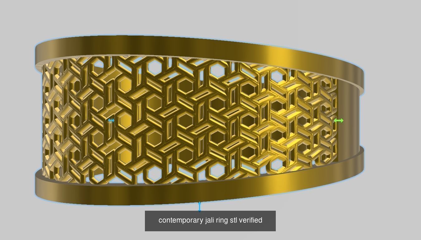 200 plus ring designs stl verified  3D Model Collection_176