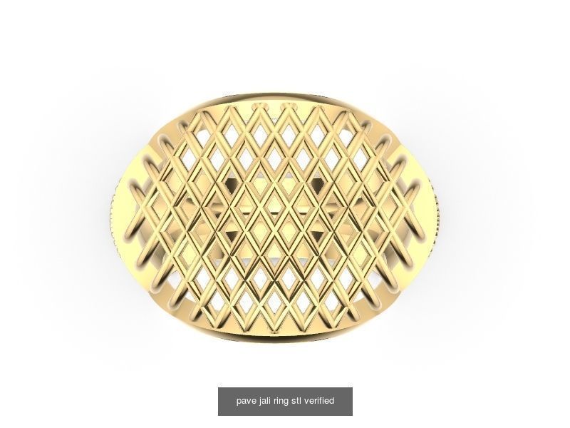 200 plus ring designs stl verified  3D Model Collection_167