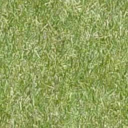 Suite parentale Free 3D model_36