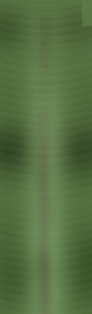 Suite parentale Free 3D model_31