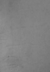 Suite parentale Free 3D model_37