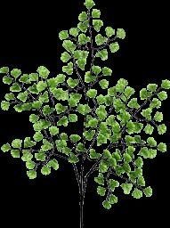 Suite parentale Free 3D model_23