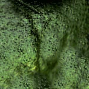 Suite parentale Free 3D model_16