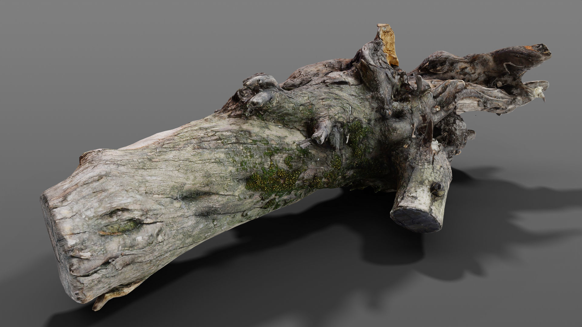 Old Snag Free 3d Model Cgtrader Old Snag Free 3d Model Cgtrader