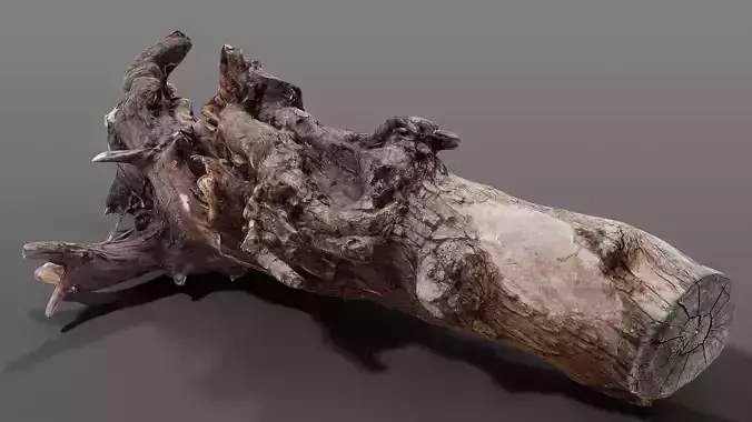 Old snag Free 3D model