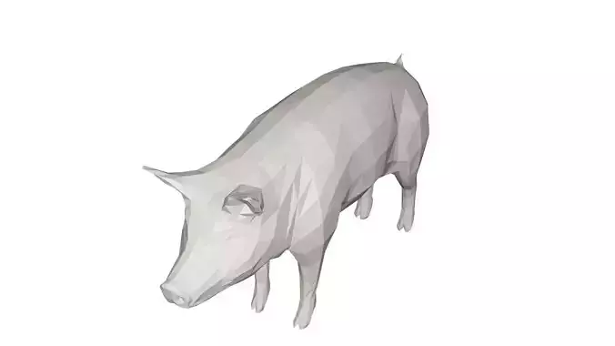 Pig- farm animal