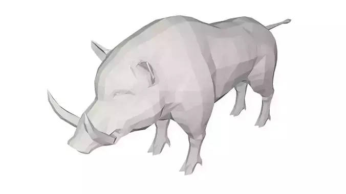 Boar -Wild animal