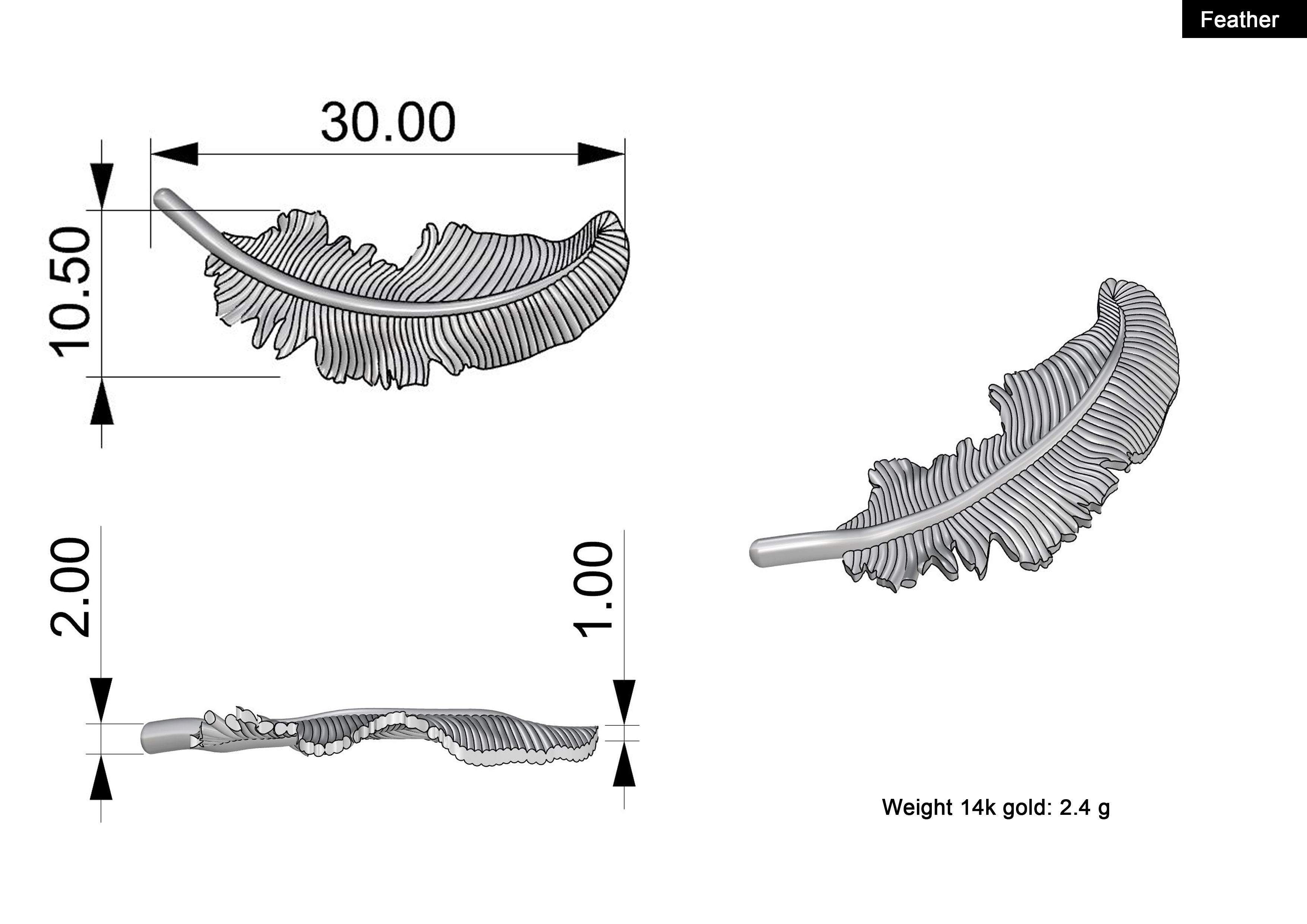Feather gold plated brooch 3D print model_2