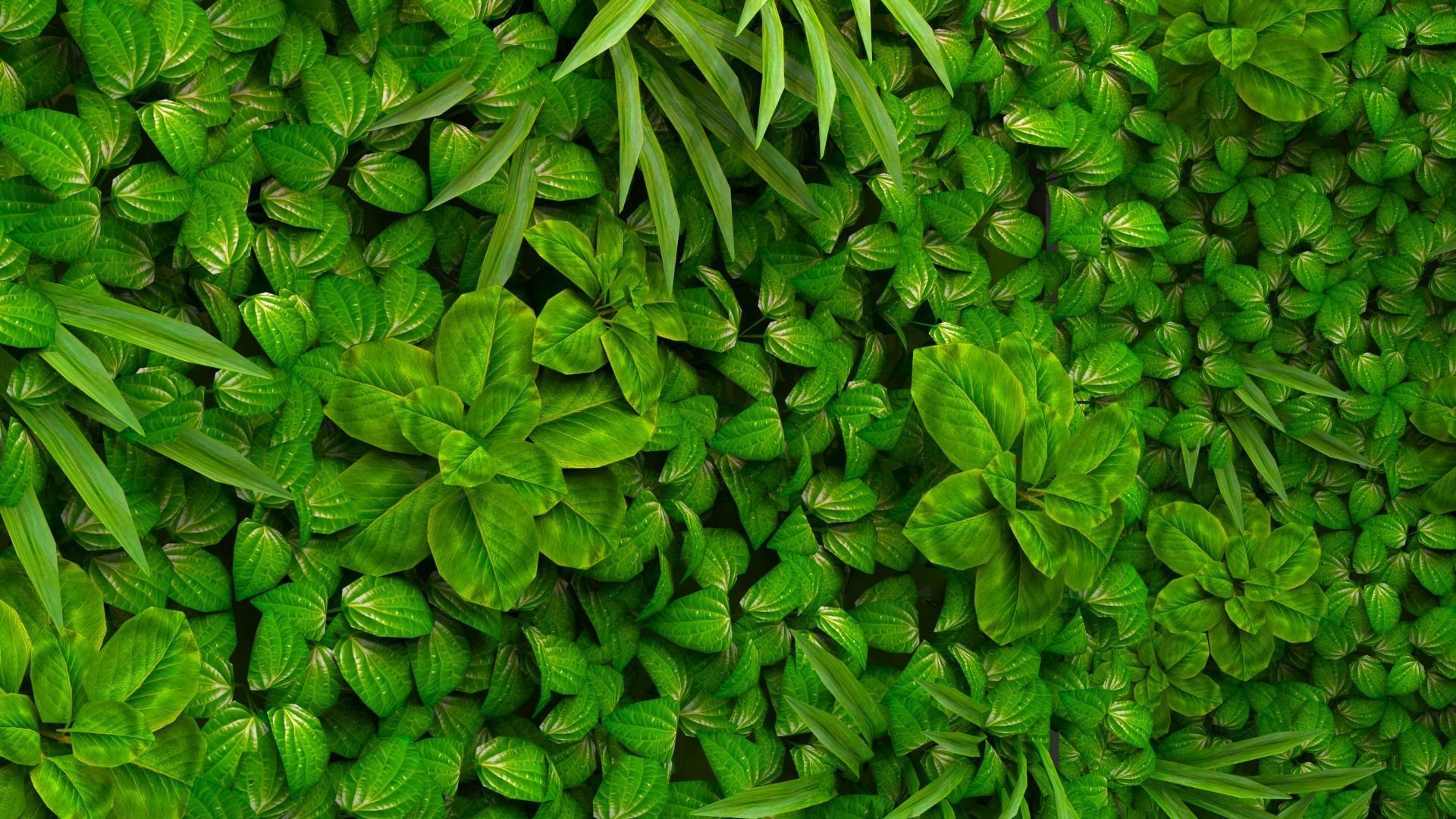 Green Wall 3D model_3
