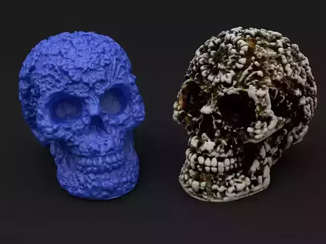 Mexican Flower Skull