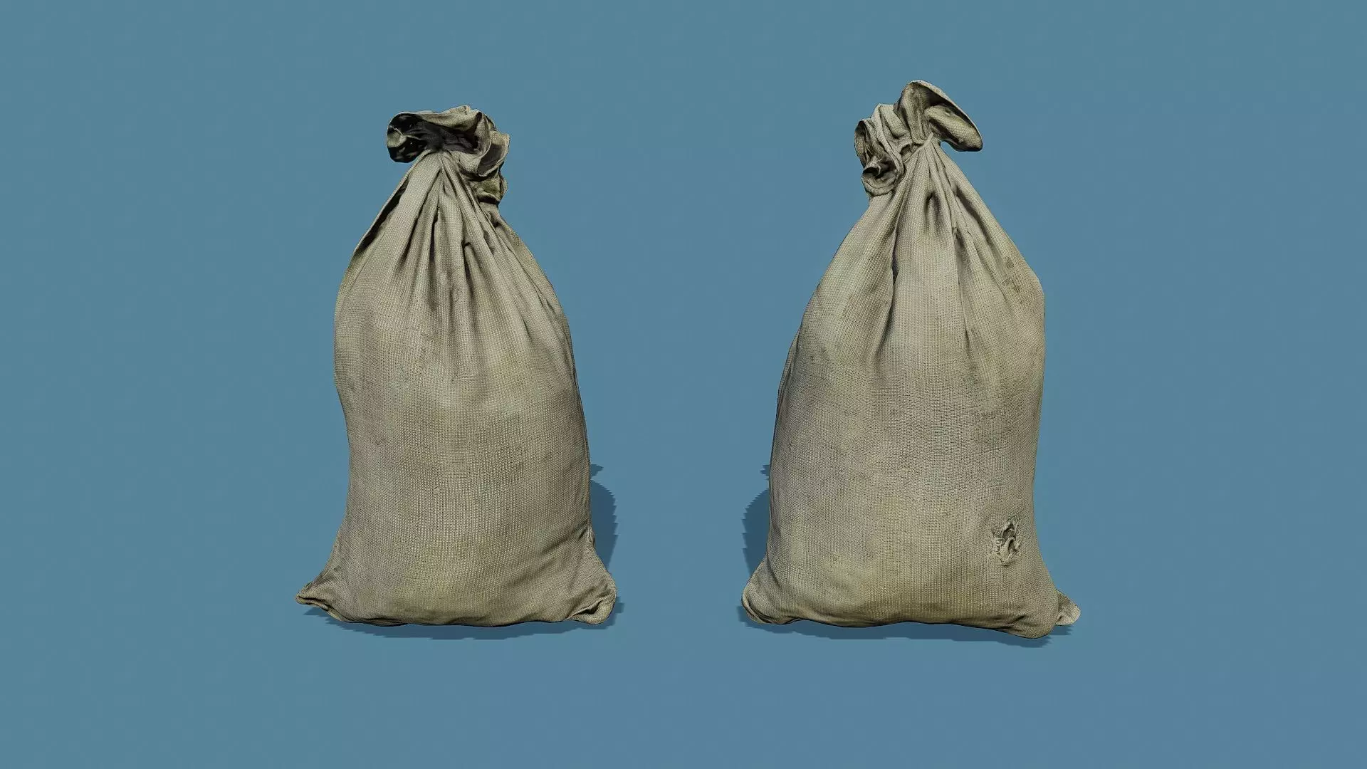 3D Scan Old Bag 02 Free low-poly 3D model_0
