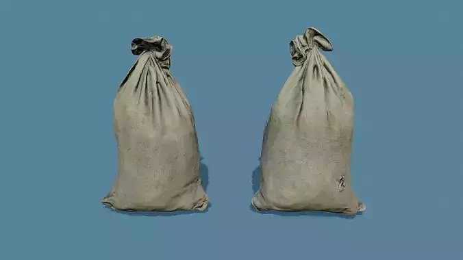 3D Scan Old Bag 02 Free low-poly 3D model