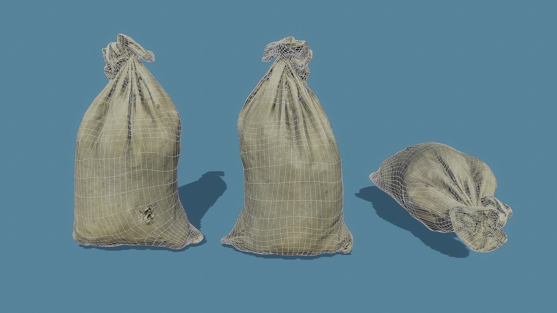 3D Scan Old Bag 02 Free low-poly 3D model_9