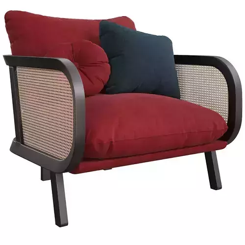 BuzziCane armchair 3d model