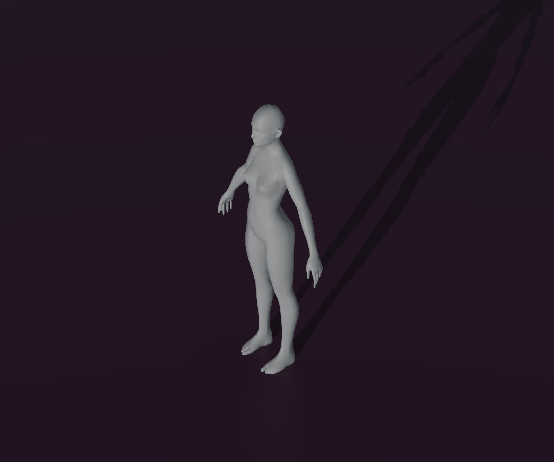 Male and Female Body Base Mesh Animated and Rigged 3D Model Low-poly 3D model_24