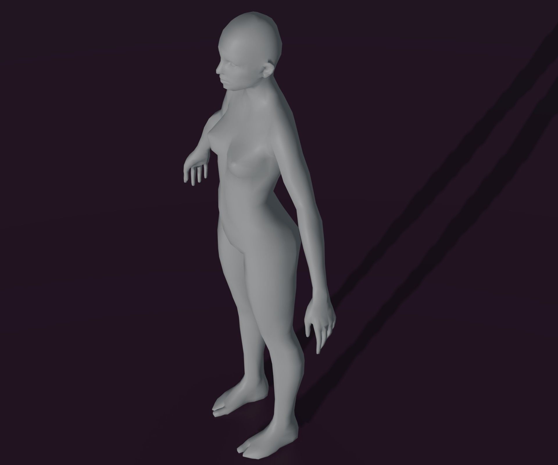 Male and Female Body Base Mesh Animated and Rigged 3D Model Low-poly 3D model_10