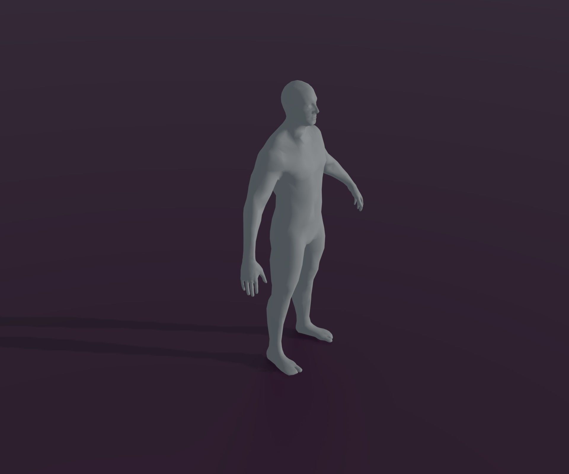 Male and Female Body Base Mesh Animated and Rigged 3D Model Low-poly 3D model_36