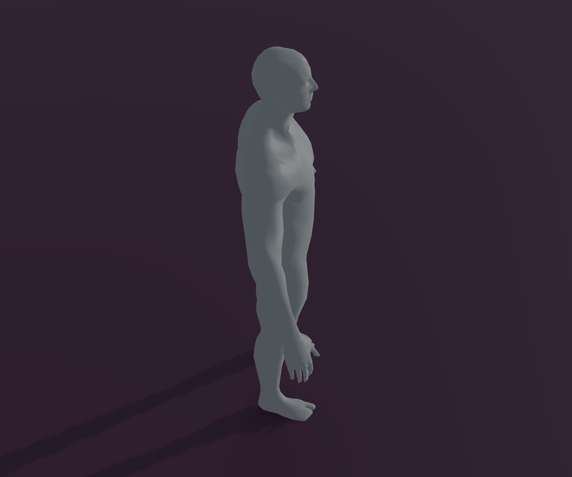 Male and Female Body Base Mesh Animated and Rigged 3D Model Low-poly 3D model_37