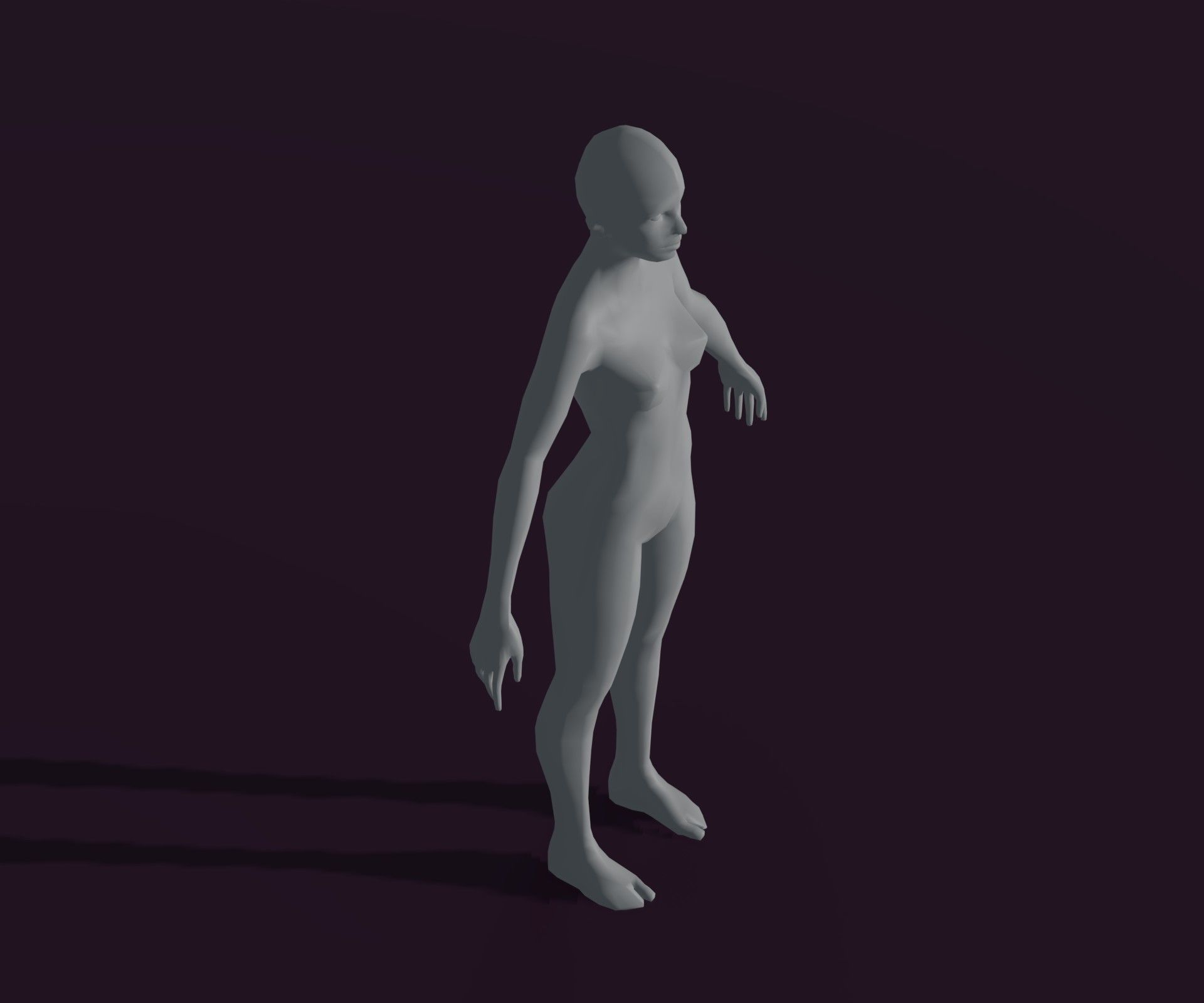 Male and Female Body Base Mesh Animated and Rigged 3D Model Low-poly 3D model_22