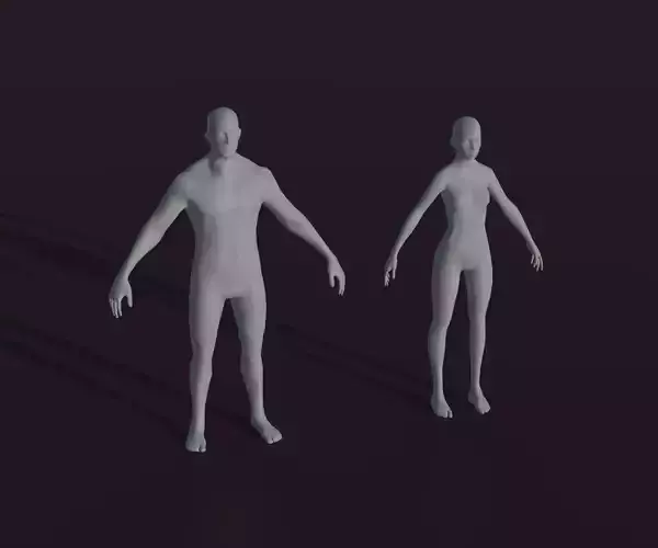 Male and Female Body Base Mesh Animated and Rigged 3D Model Low-poly 3D model