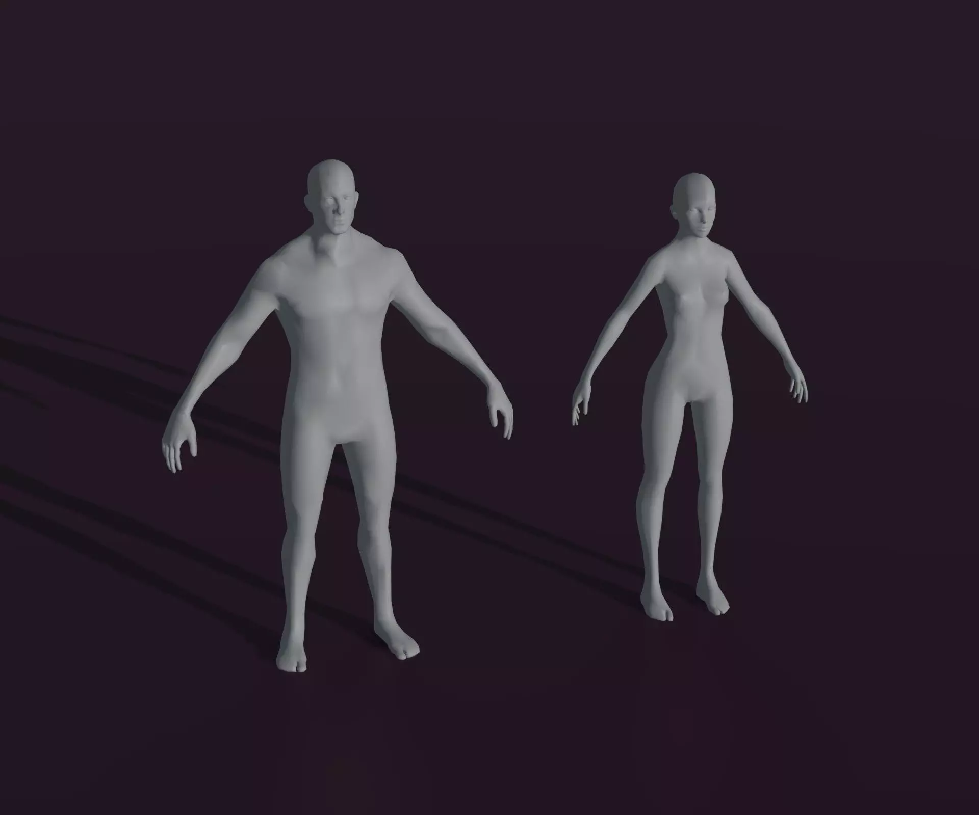 Male and Female Body Base Mesh Animated and Rigged 3D Model Low-poly 3D model_0