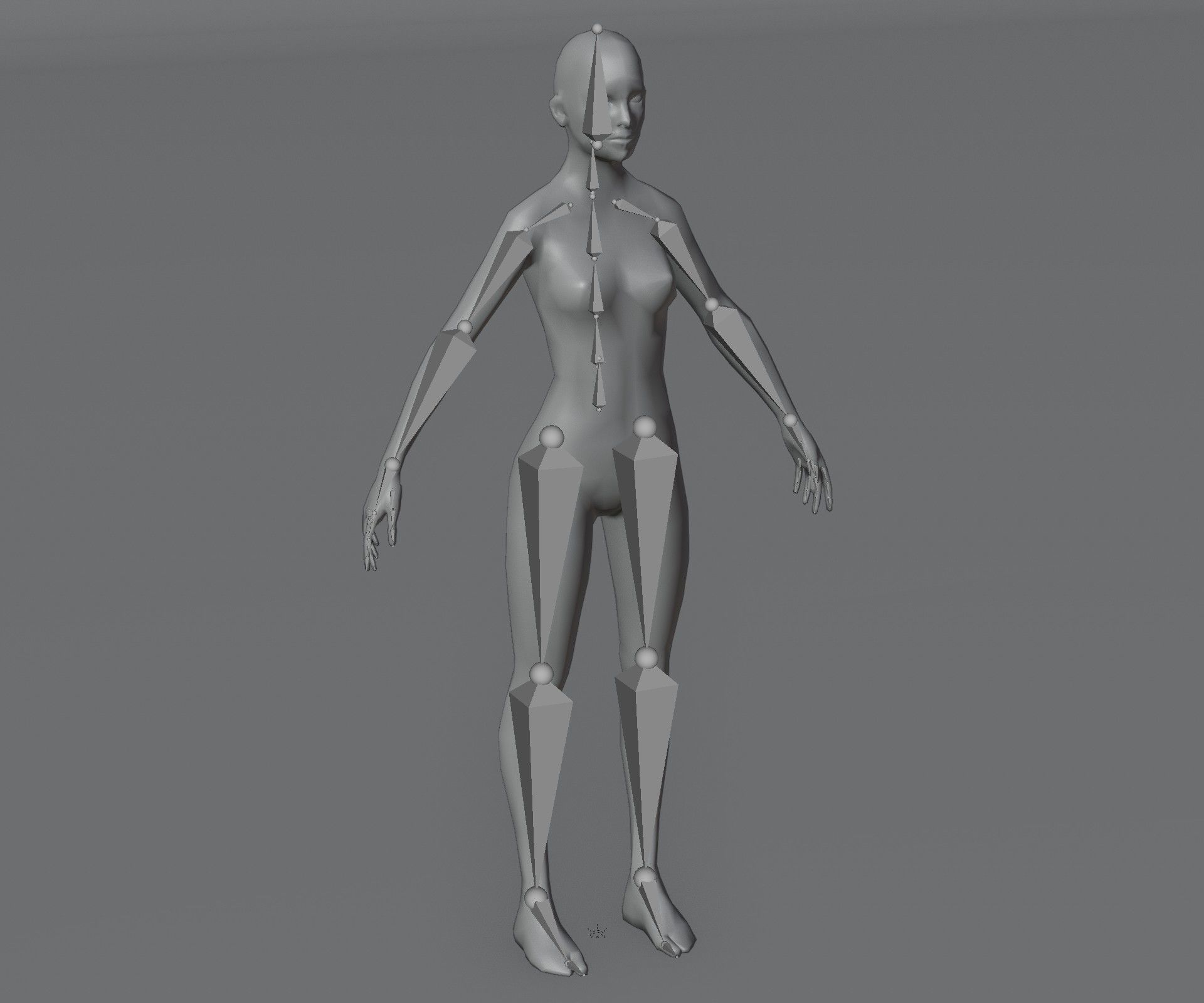Male and Female Body Base Mesh Animated and Rigged 3D Model Low-poly 3D model_5