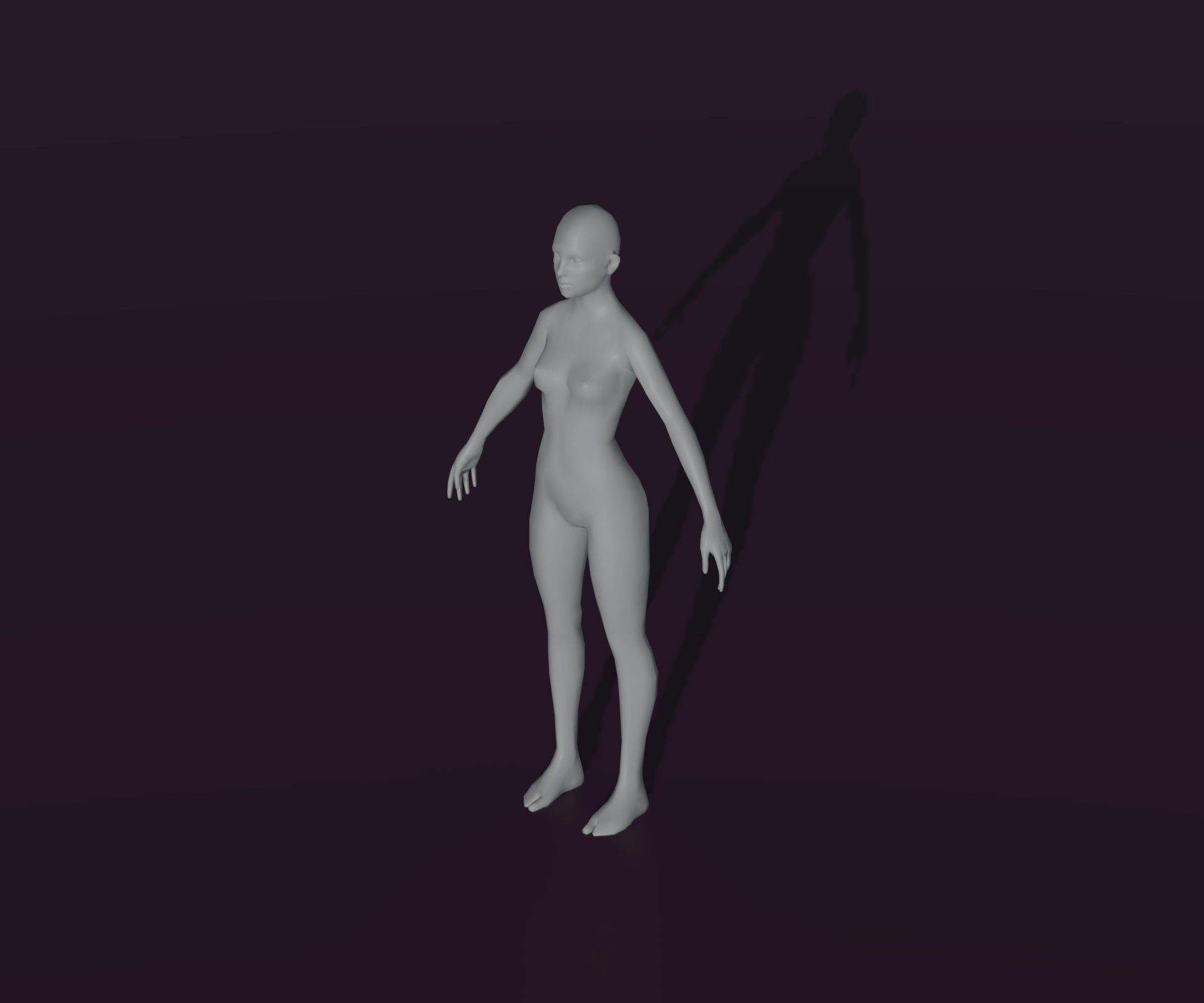 Male and Female Body Base Mesh Animated and Rigged 3D Model Low-poly 3D model_21