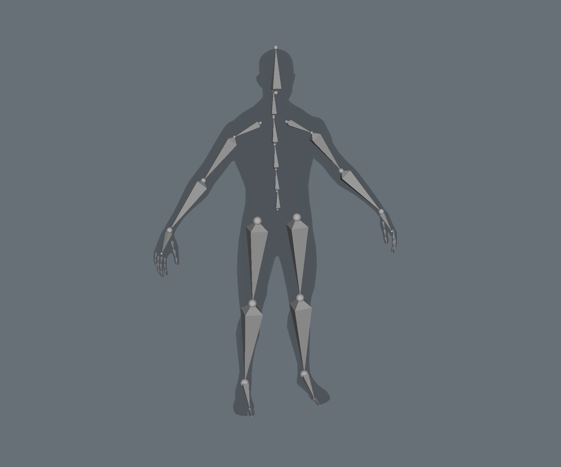 Male and Female Body Base Mesh Animated and Rigged 3D Model Low-poly 3D model_7