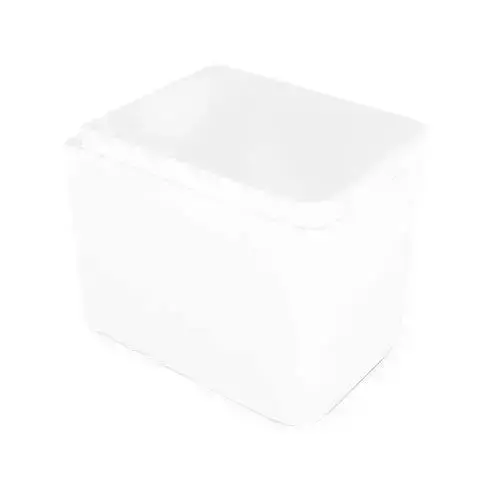 White Porcelain Toilet Bowl