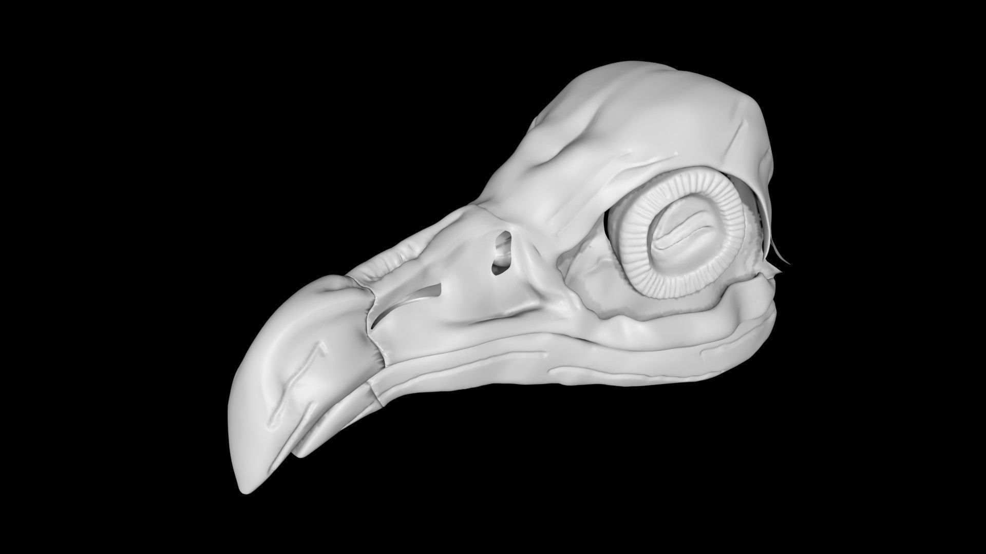 Vulture skull Low-poly 3D model_4