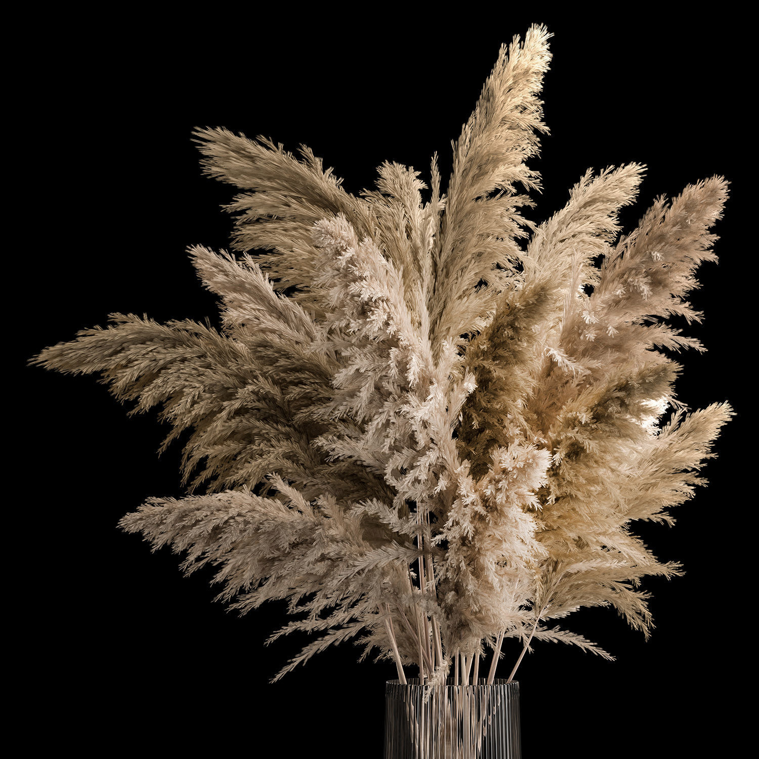 Bouquet Dried Flowers From Pampas Grass In A Vase 3D model_2