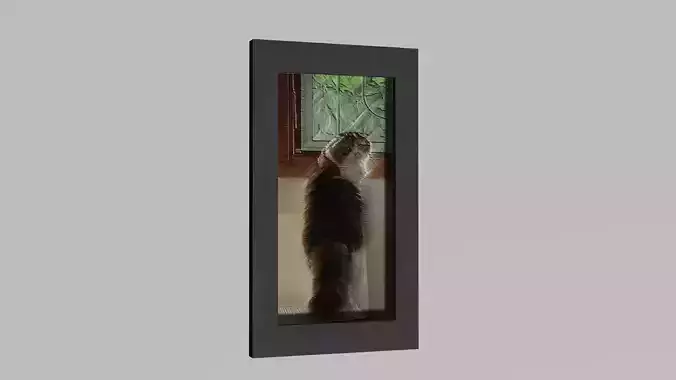 Picture Frame with my cat  Willow