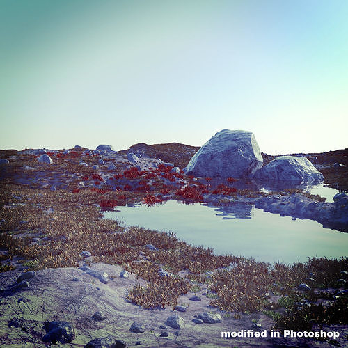 Tundra Landscape 3D model