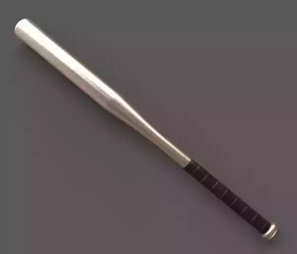 Baseball Bat